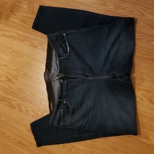 Torrid Sky High Jeggings